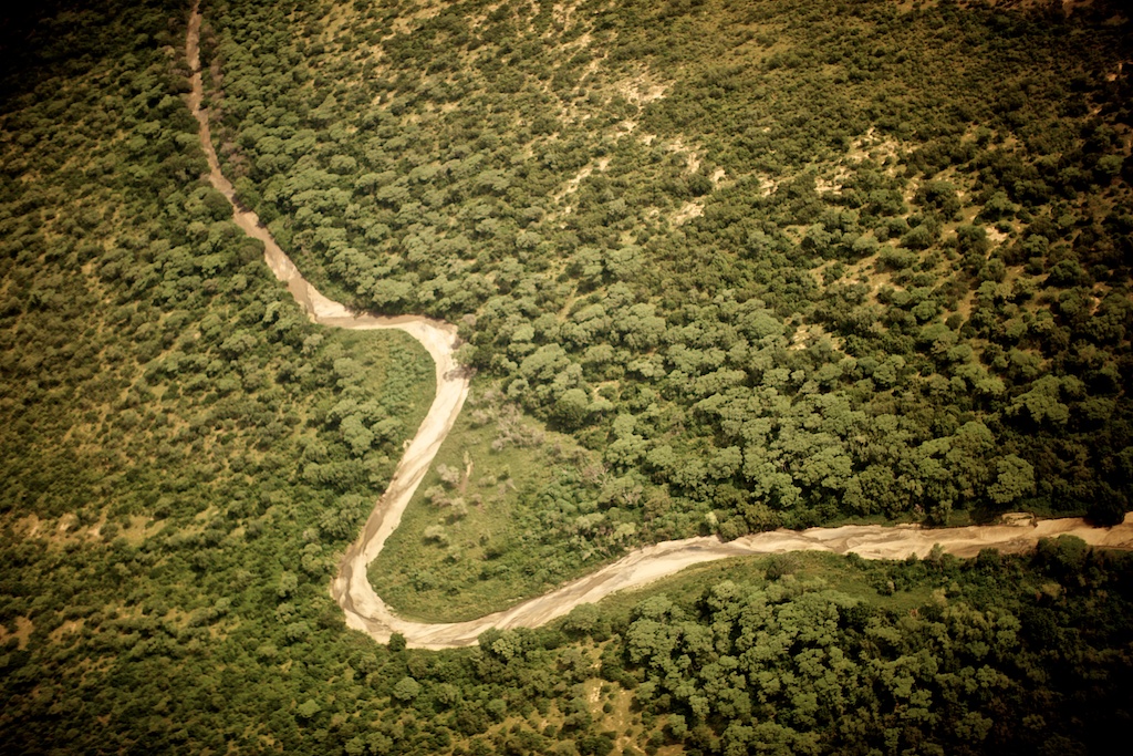 ‘Save our rivers, or they will run dry’: international hydrologists release their latest warning to unresponsive&nbsp;governments