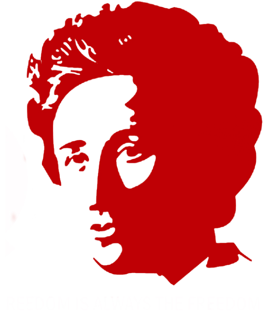 Remembering Polish-born revolutionary Rosa Luxemburg, 150 years after her&nbsp;birth